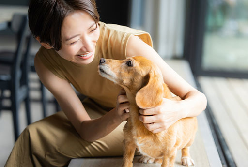 「ペットとの暮らしを豊かに」ペット用品ブランドAN（アン） イメージ03