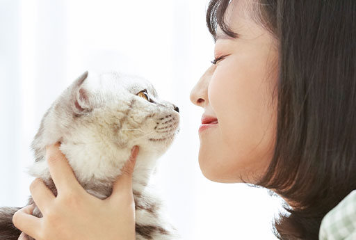 「ペットとの暮らしを豊かに」ペット用品ブランドAN（アン） イメージ05